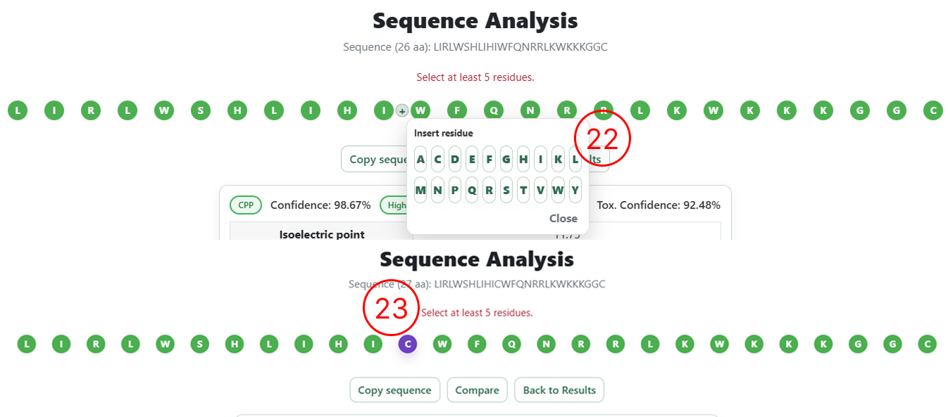 Amino acid insertion example